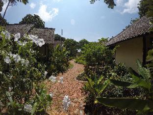 OP Bungalow - 6