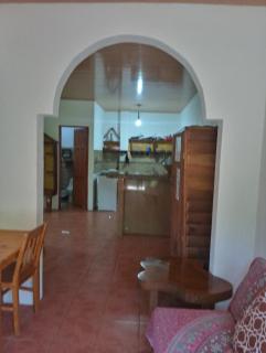 Blanconejo de Montezuma - Montezuma - 1