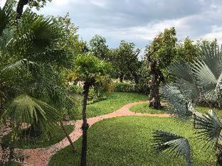 Taman Resort - 2