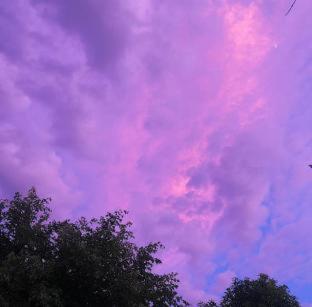 Red House Homestay - Villa - 0