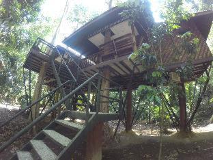 Khao Sok Nature Resort - Khao Sok - 6