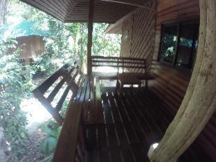 Khao Sok Nature Resort - Khao Sok - 3