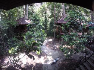 Khao Sok Nature Resort - Khao Sok - 1