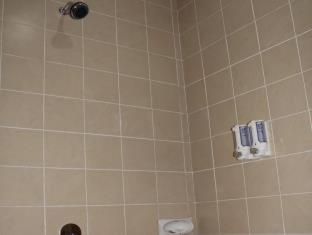 Ashana Hotel - 5