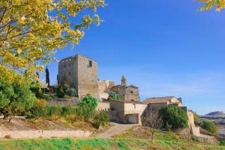 Castell de Fonolleres - Fonolleres - 1