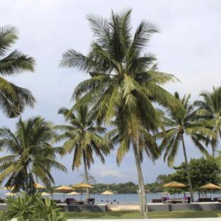 Anema Wellness Villa & Spa Gili Lombok - Diving Center PADI - 6