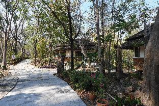 Tak Andaman Resort & Hotel - Tak - 8
