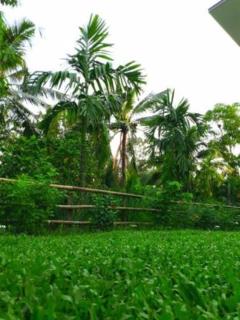 Baan Glangsuan Bang Kobua - 5