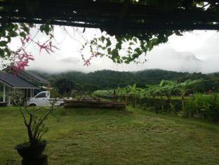 Him doy muang pan resort ฮิมดอยเมืองปานรีสอร์ท - 6