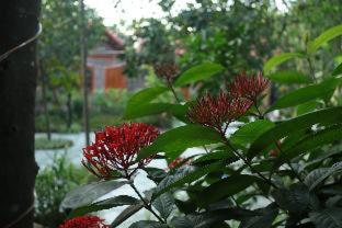 Tam Coc Thanh Dat Homestay - 7