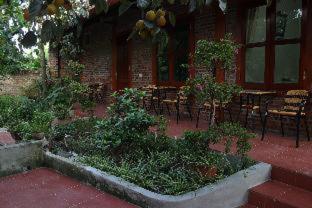 Tam Coc Thanh Dat Homestay - 4