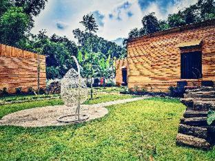 Golden Jungle House - 8