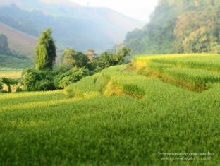 KowitFarmstay - 4