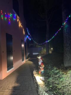 Green Apartment - Rosolina Mare - 4