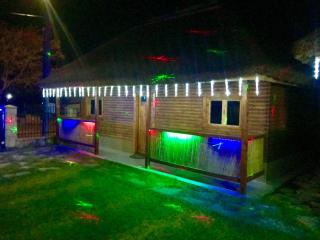 Casa Arina - Vişina - 6
