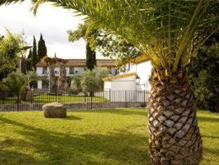 Hotel la Perdiz - La Carolina - 8