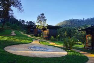 Phu Pha View Doi - Samoeng - 5