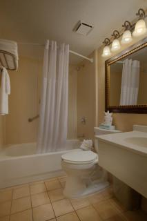Staybridge Suites Orlando Royale Parc Suites by IHG - Orlando - 8