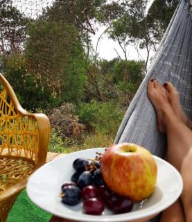 Cabaña La Rustika - 2