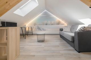 Appartement entier - Toile tendue - Wifi - Pontarlier - 9
