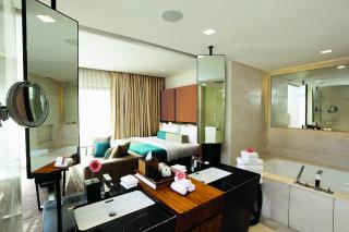 Taj Surajkund Resort & Spa, Delhi NCR - Faridabad - 8