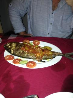 Sunshine Cafe - Tangalle - 6
