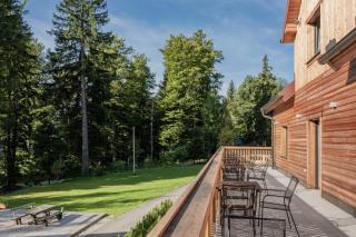 House Storz - Hočko Pohorje - 9