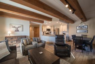 Vintage Ski Lodge Styled Plaza Condo Apts - 4