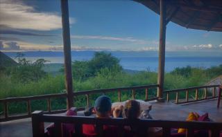 Kikonko Lodge - Buseruka - 7