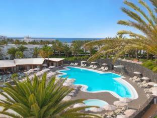 Relaxia Olivina - 6