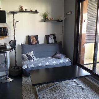 Réf 539, Seignosse Océan, Appartement à 150m de la plage, proche commerces, 4 personnes - Seignosse - 9