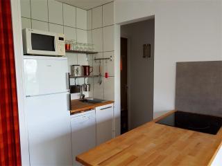 Réf 541,Seignosse Océan, Appartement 3 pièces, proche de la plage et des commerces, 4 personnes - Seignosse - 3