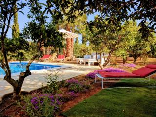 Finca Can Rosa Ibiza, private pool, 10 minutes from the beach - Santa Gertrudis de Fruitera - 6