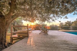 Alpaca country house - Pontedera - 1
