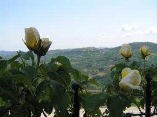 Agriturismo La Cascina - Bossolasco - 8
