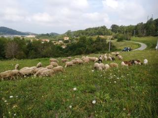 Agriturismo La Cascina - Bossolasco - 1