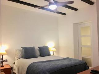 MALASAÑA DREAMING A/C - WIFI - 4