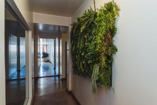 Cafezal Palace Hotel - 6