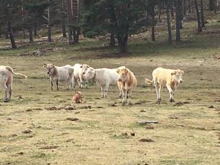 Casa Rural Senderismo - 1