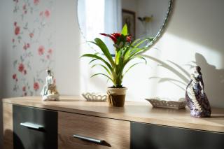 Tip-Top Apartman Ház - Szeged - 6