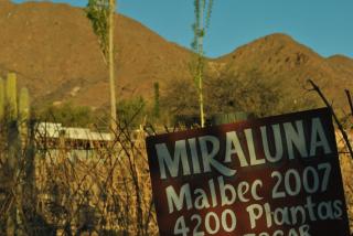 Miraluna - Cabañas & Bodega - Cachí - 1