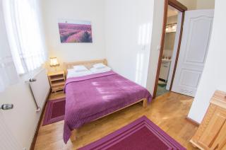 Szwajcarka Willa z sauną i jacuzzi - Kudowa-Zdrój - 6