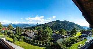 Hotel Pension Residence - Ramsau am Dachstein - 4