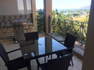 Diria #504 - Tamarindo - 7