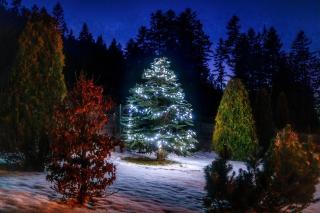 Apartamenty Osada Nosal - Zakopane - 7