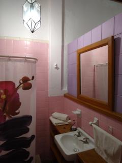 Casa Relox 23 - San Miguel de Allende - 9