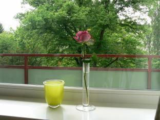 Hotel Carolinenhof - Berlin - 4