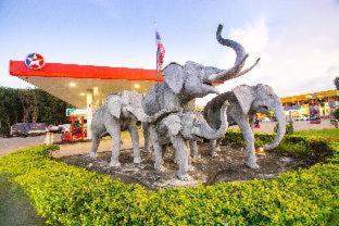 The Lephant Hotel - 2