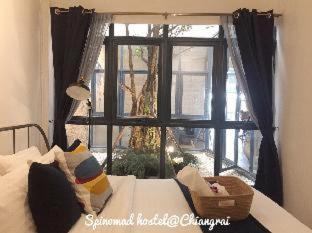 Spinomad hostel - Chiang Rai - 7