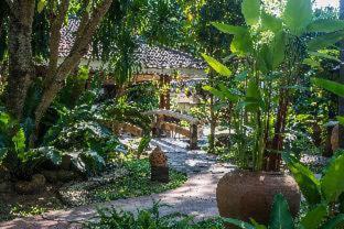 Samui Sense Revive - Strand Lamai - 4